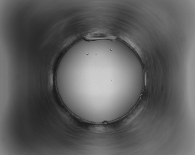 X0000094170253200711161713