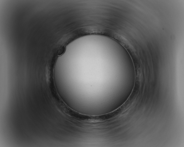 X0000094170255200711161713