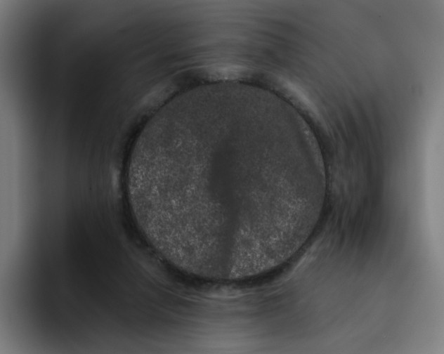 X0000094170258200711161714