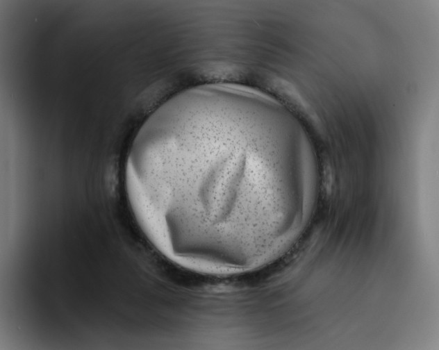 X0000094170259200711161714