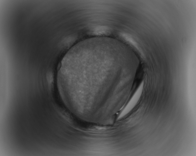 X0000094170260200711161714