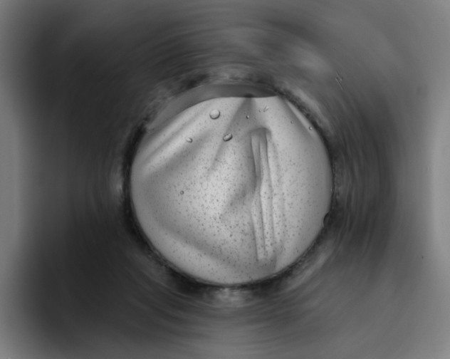 X0000094170261200711161714