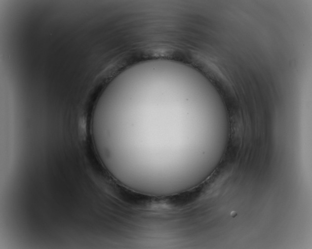 X0000094170262200711161714