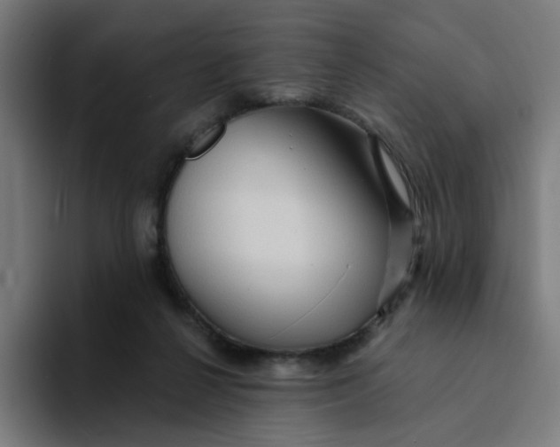 X0000094170264200711161714