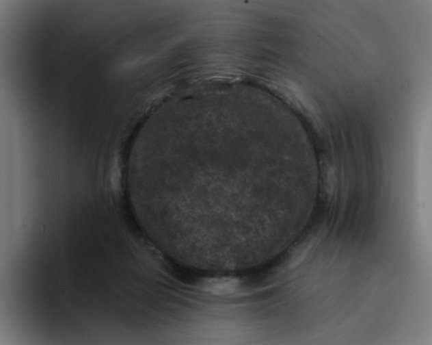 X0000094170266200711161714