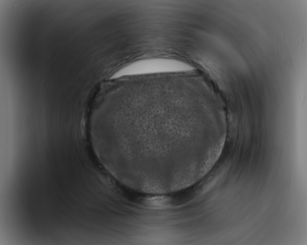 X0000094170269200711161714