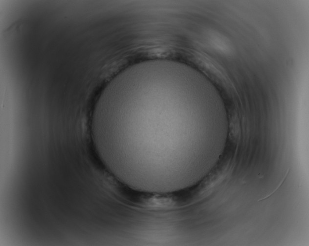 X0000094170270200711161714