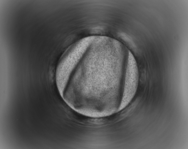 X0000094170273200711161714