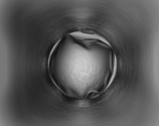 X0000094170275200711161714