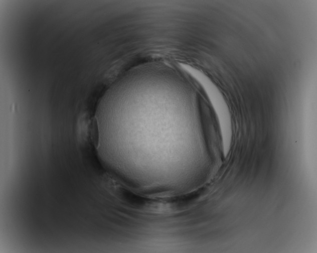 X0000094170276200711161714