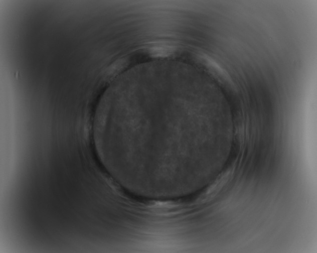 X0000094170277200711161714