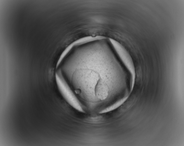 X0000094170278200711161714