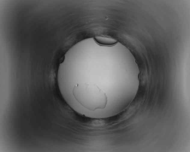 X0000094170279200711161714