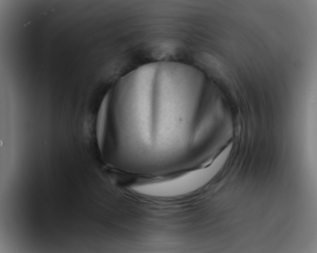 X0000094170280200711161714