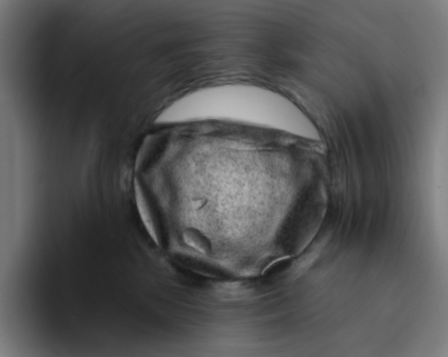 X0000094170281200711161714