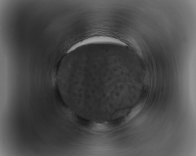 X0000094170285200711161714