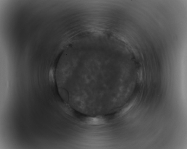 X0000094170286200711161714