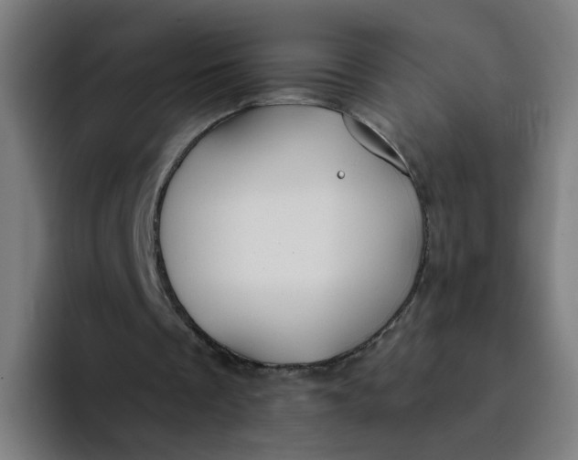 X0000094170289200711161713