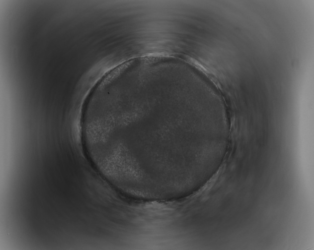 X0000094170290200711161713