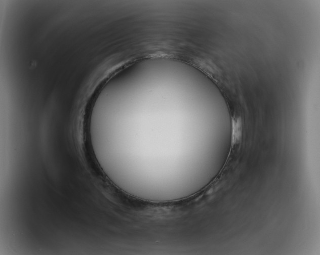 X0000094170291200711161713