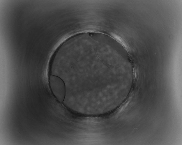 X0000094170292200711161713