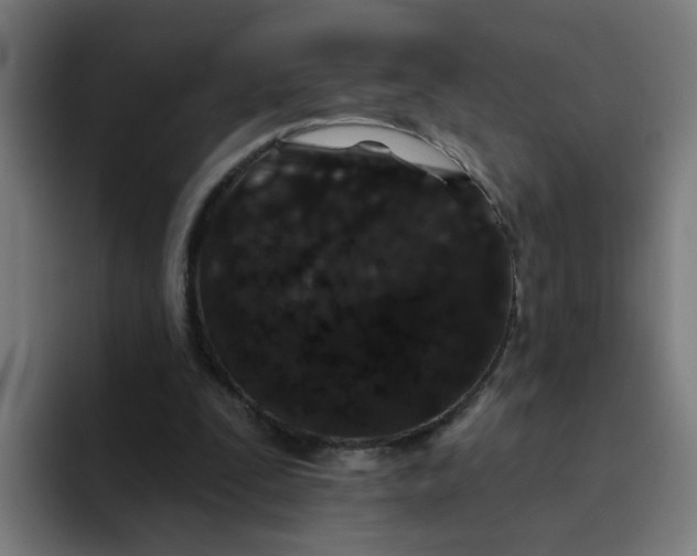 X0000094170295200711161713