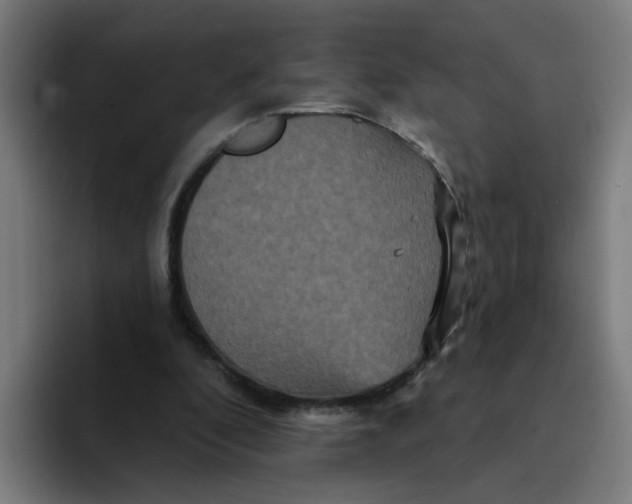 X0000094170296200711161713