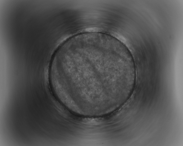 X0000094170297200711161713