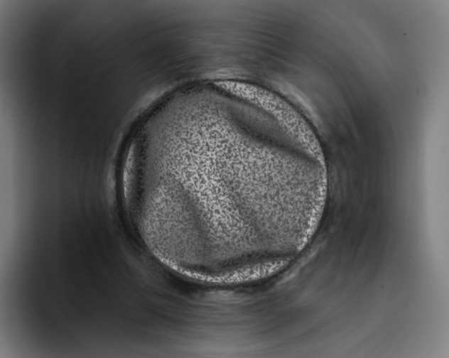 X0000094170298200711161713