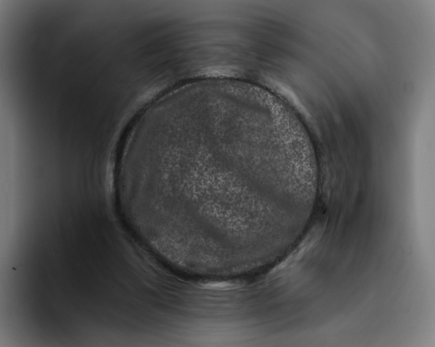 X0000094170299200711161713