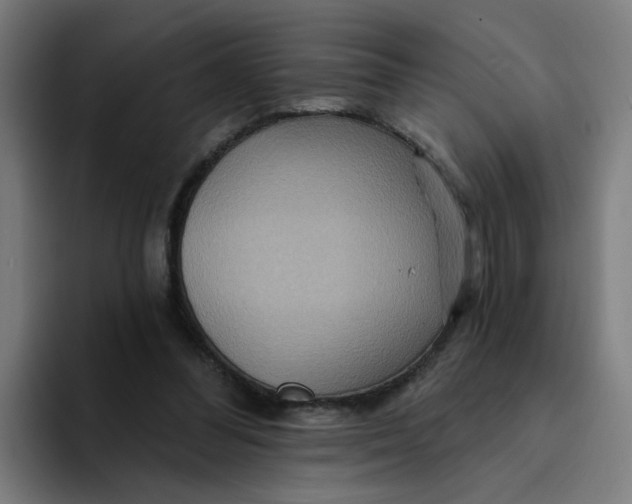 X0000094170300200711161713