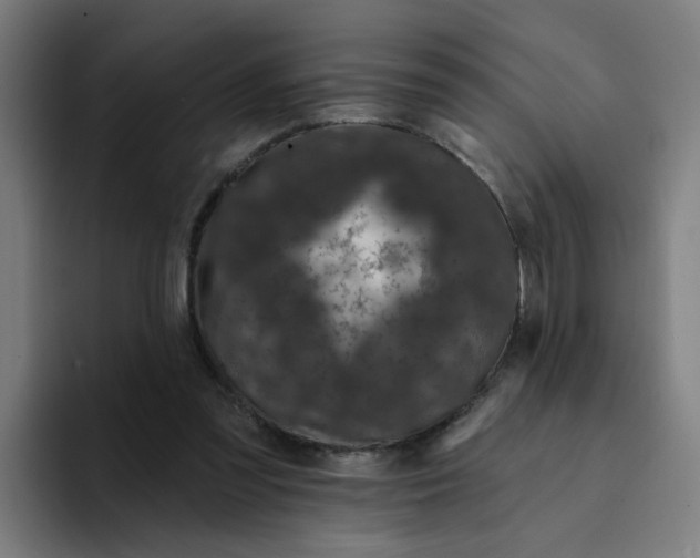 X0000094170301200711161713