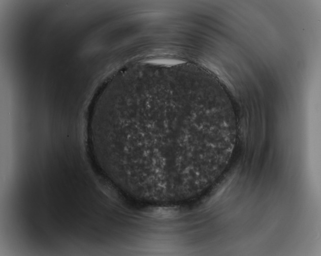 X0000094170303200711161713