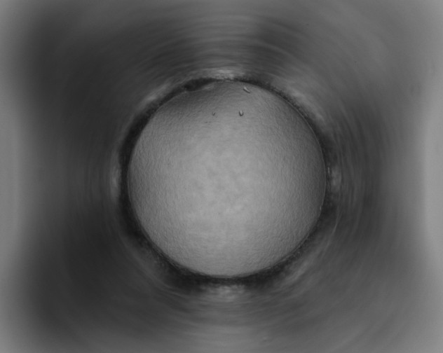 X0000094170304200711161713