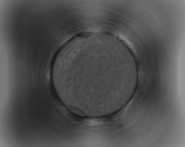 X0000094170305200711161713