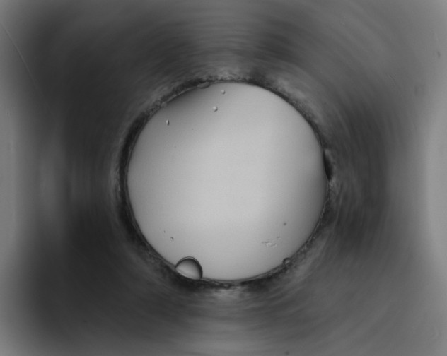 X0000094170306200711161713