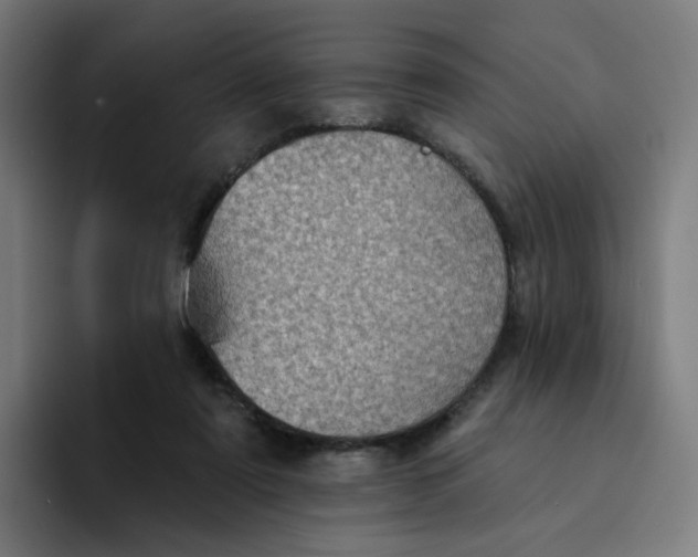 X0000094170307200711161713