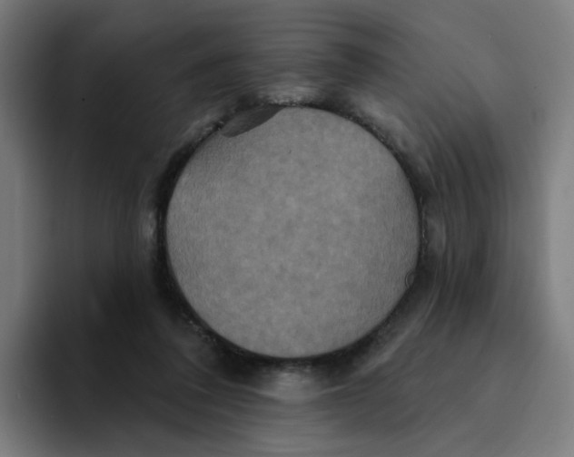 X0000094170308200711161713