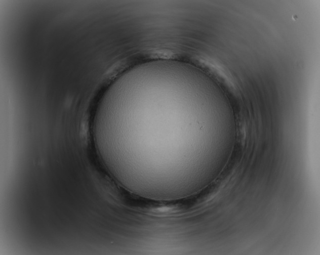 X0000094170312200711161713