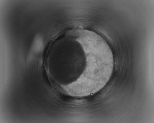 X0000094170314200711161713