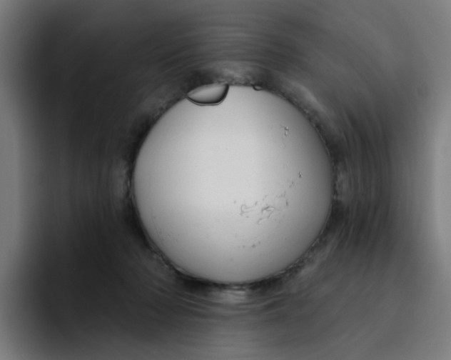 X0000094170318200711161713