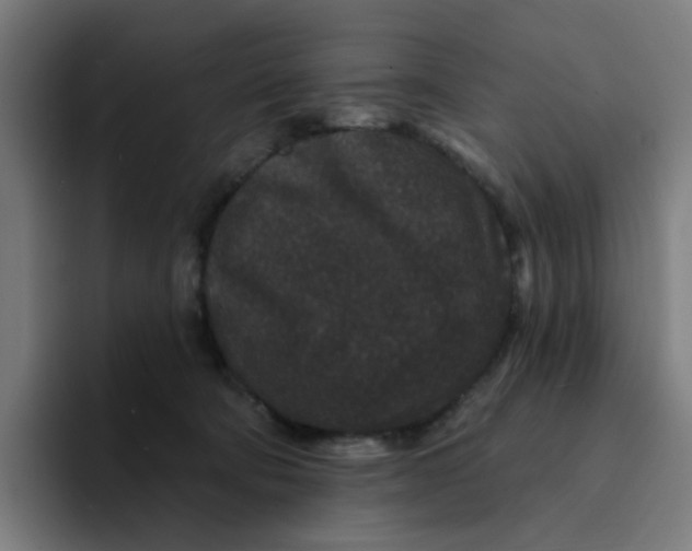 X0000094170322200711161713