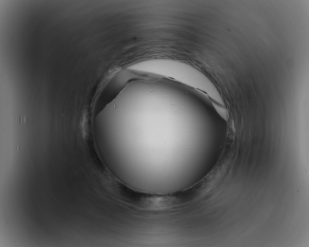 X0000094170323200711161713