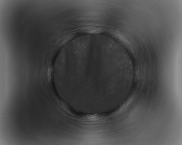 X0000094170325200711161713