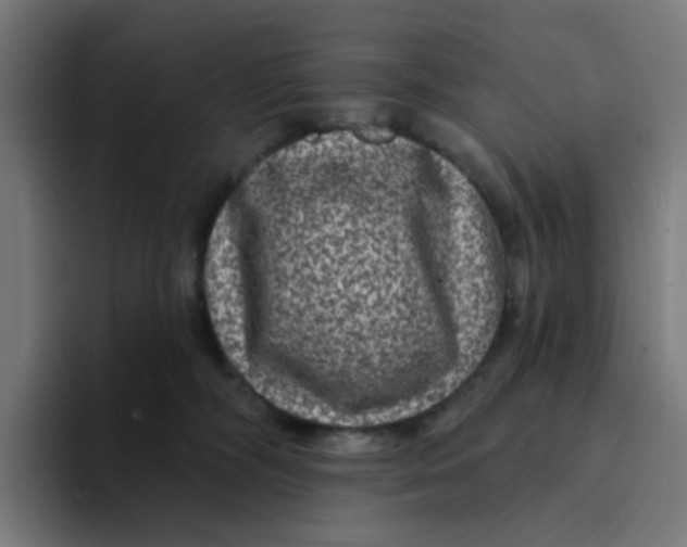 X0000094170326200711161713