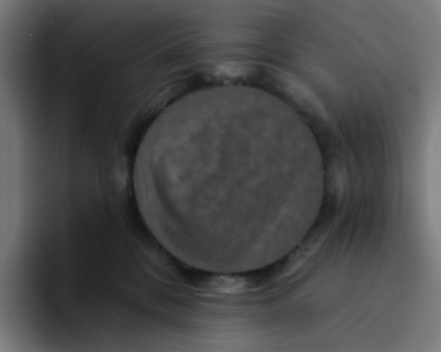 X0000094170328200711161713