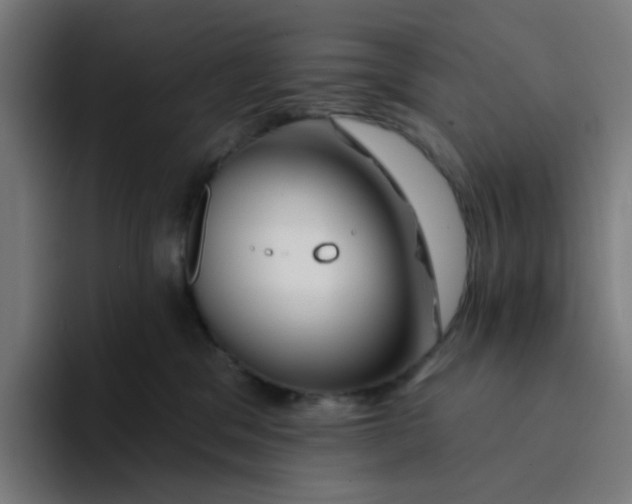 X0000094170329200711161713