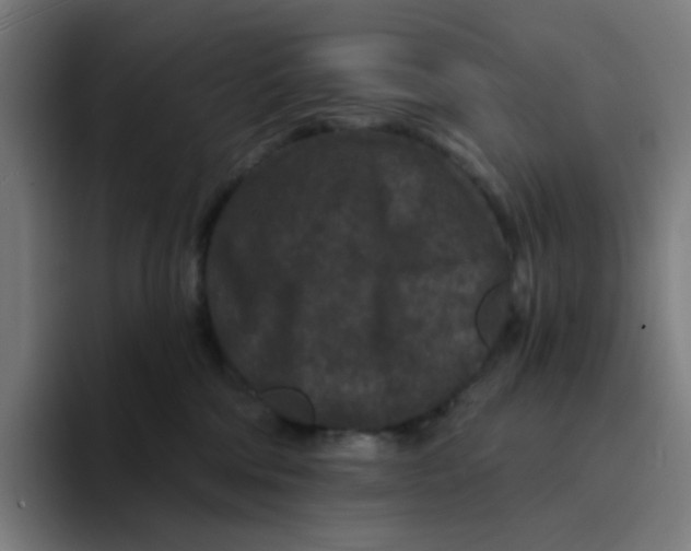 X0000094170330200711161713