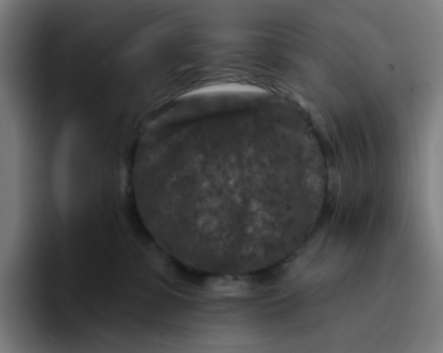 X0000094170331200711161713