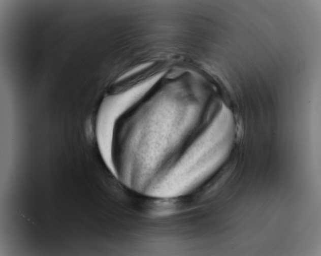 X0000094170335200711161713